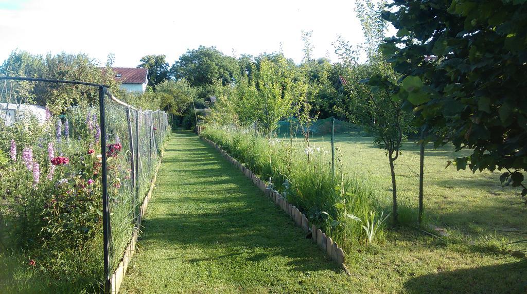 Farm Lackovic Farm stay *